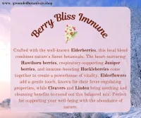 Berry Bliss Immune Syrup – Image 2