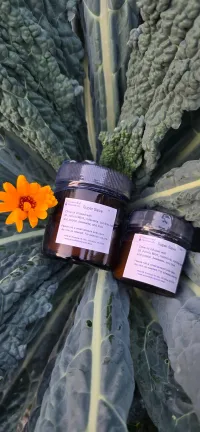 Super Salve – Image 1