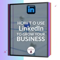 Book: How To Use Linked In to Grow Your Business – Image 1