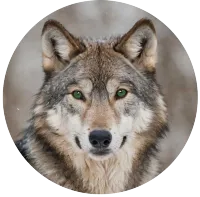 blog author image