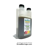 10 bottles- 16oz (.5L) Moringa Biostimulant  Extract USDA – Image 1