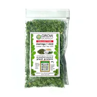 10 baggies- .5oz (10g) Moringa + Mint Tea  Loose Leaf Organically Grown USA – Image 1