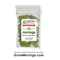10 baggies- 10ct. Moringa Powder USA  Herbal Supplements (500mg) – Image 1