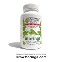 10 bottles- 100ct. Moringa Powder USA  Supplements (500mg)  – Image 1