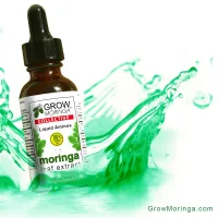 10 bottles- 1oz Moringa Leaf Extract Tinctures – Image 1