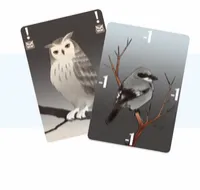 Songbirds – Image 1