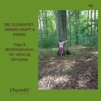 Tre-elementet Online Yoga & Meditasjonskurs for vekst og fornyelse – Image 1