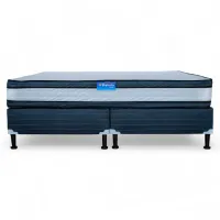 CAMA 2 EURO KING – Image 3