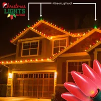DIY C9 Christmas Light Kit – 100 ft | Choose Warm White, Red & White, or Multicolor | Includes Bulbs, Plugs, and Wire – Candy Cane: Frosted Red / Warm White