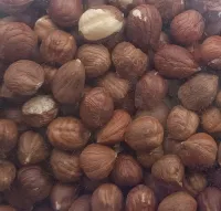 Noisette décortiquée — 500 g · 1 kg – Image 1