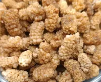 Mûre blanche — 250 g  – Image 2