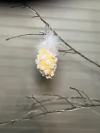 Chenille Eggs – Image 5
