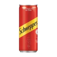 Ginger Ale (Can) – Image 1