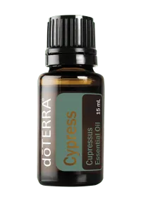 Cypress Essential Oil – 15ml