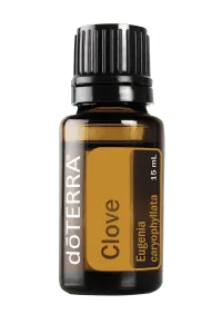 Clove Essential Oil – 15ml