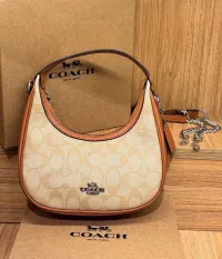 coach – Image 3