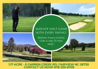 1.17 Acres - 0 Garren Creek Rd	Fairview NC 28730 – Image 8