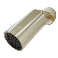 Core Spotlight Shower Head Brushed Brass – Image 1