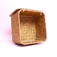 CAJA NATURA – Image 3