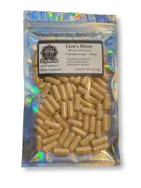 LION'S MANE for Focus – Image 1