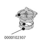 0000102307 – Image 1