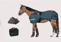 BEMER Horse Set – Image 1