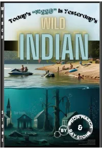 Today’s N!gg@ is Yesterday’s Wild Indian – Image 1
