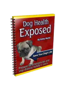 Dog Health Exposed – Image 1