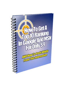 How to Get a Top Ranking in Google and MSN for Only $9 – Image 1