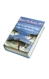 Bass Fishing 101 – Image 1