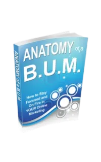 Anatomy of a BUM – Image 1