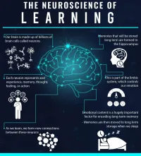 Memory Hack (PDF Ebook + Checklist + LearningMap) – Image 3