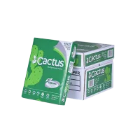 MW0365 Copy Paper Cactus Sub 20 ( 70Gsm) 8.5In X 11 In – Image 1