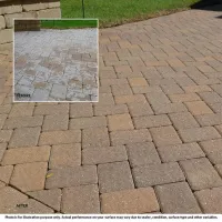 Trident Tidal Wave | Sealer and Paint Stripper – Image 2