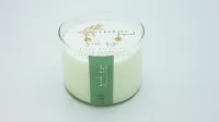 Fresh Figs Classic Glass 2 Wick Soy Candle – Image 2