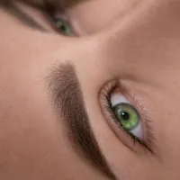 REVISIT POWDER BROWS – Image 1