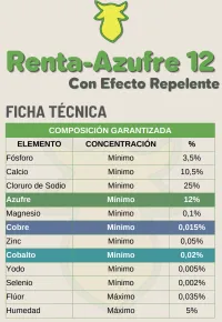 Renta-Azufre 12 – Image 2