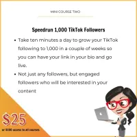 Speedrun to 1,000 TikTok Followers mini course – Image 1