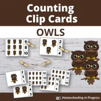 Owl Counting Clip Cards – Image 1