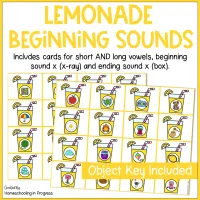 Summer Lemonade Sensory Bins Alphabet Activities for Preschool & Kindergarten – Image 7