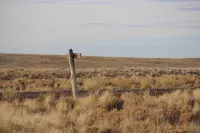 Explore 5 Acres of Stunning Vistas in Costilla, Colorado! – Image 4