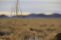 Explore 5 Acres of Stunning Vistas in Costilla, Colorado! – Image 8