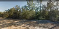 Explore The Limits of Life on 0.20-ac in Putnam County, FL! – Image 7