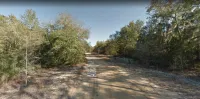 Explore The Limits of Life on 0.20-ac in Putnam County, FL! – Image 8