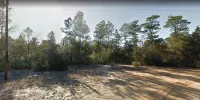 Explore The Limits of Life on 0.20-ac in Putnam County, FL! – Image 6