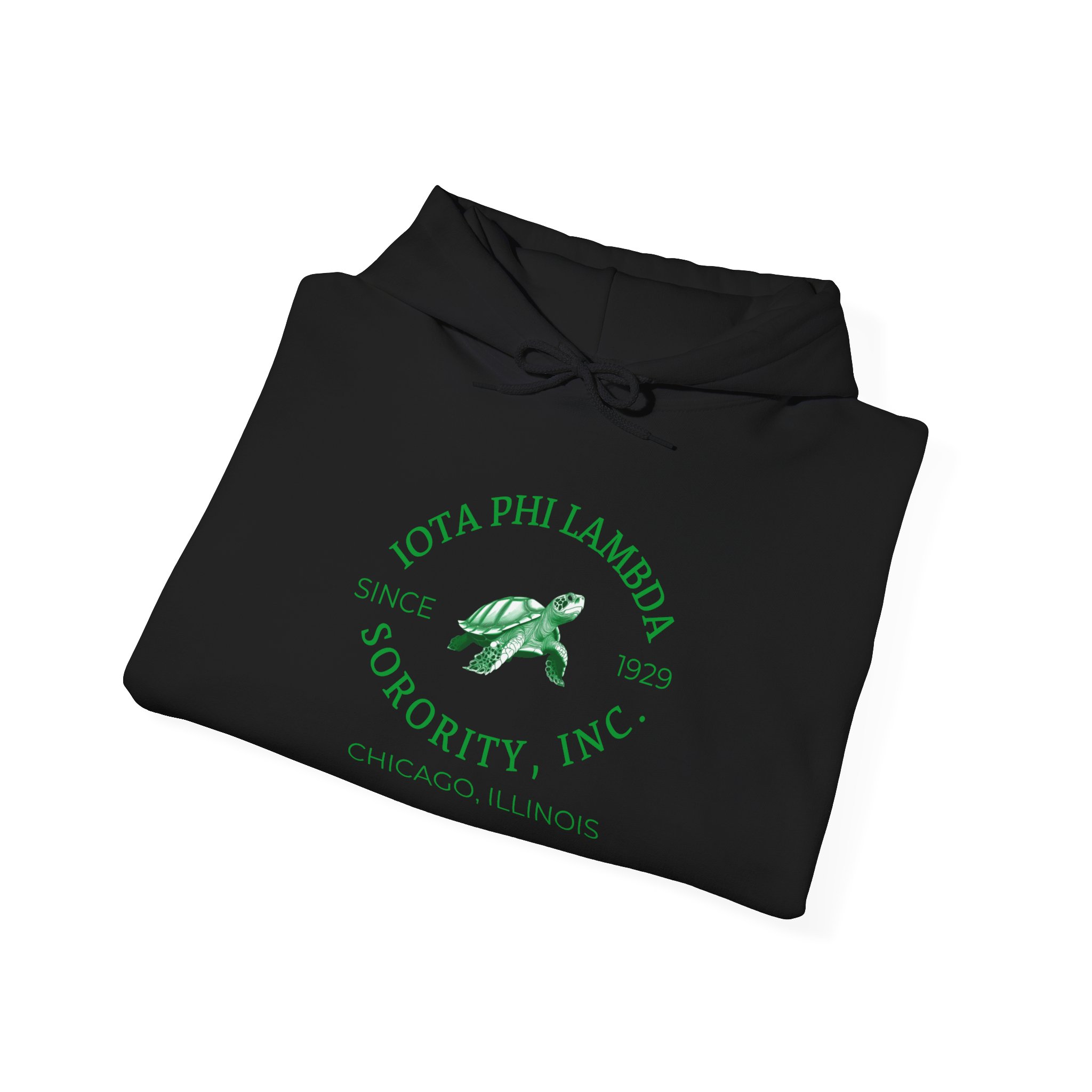 Vintage Iota Sweatshirt/Hoodie – Image 3
