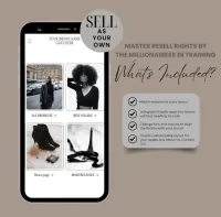 Shopify Theme with MRR – Image 3