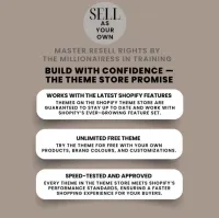 Shopify Theme with MRR – Image 4