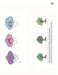 Small Hands, Big World - Tracing Activity Book English/Spanish 2 years Level 2 - Print Ready – Image 4