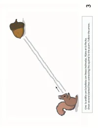 Small Hands, Big World - Tracing Activity Book English/Spanish 2 years Level 2 - Print Ready – Image 2